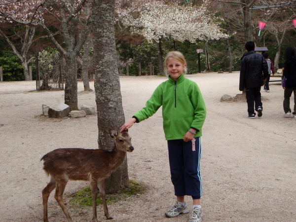 Maddy and deer