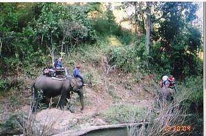 Elephant Ride 3