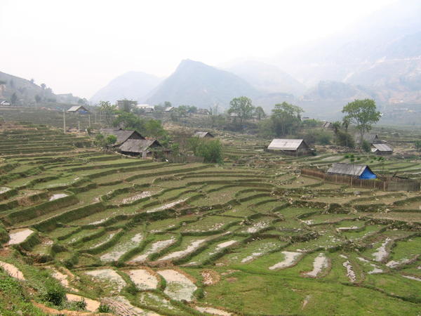 Petit village entouré de rizières