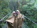 Pont suspendu, Monteverde