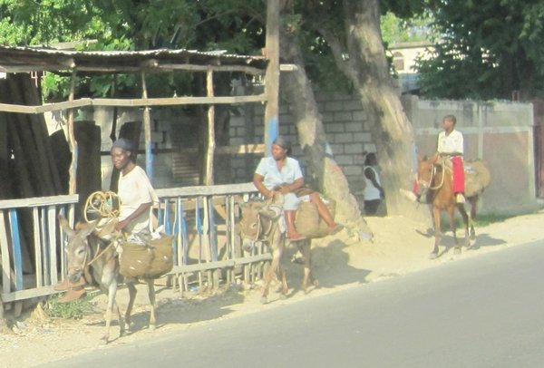 Moyen de transport Haitien : donkey!