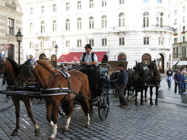 Vienna taxi rank