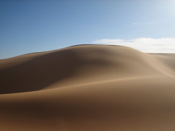 rolling dunes of the Sahara