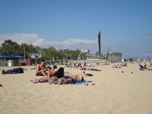 beach in Barcelona