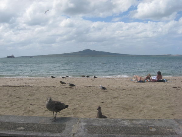 Rangitoto, from Mission Bay