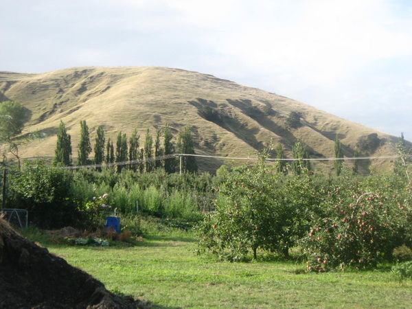 Kilhaven Orchard