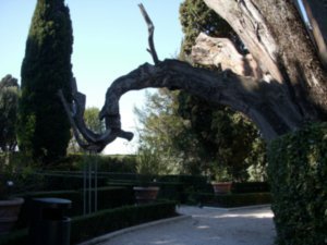 Tivoli--Villa d'Este 15
