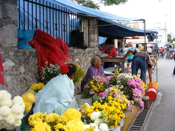 Mexican flower shop
