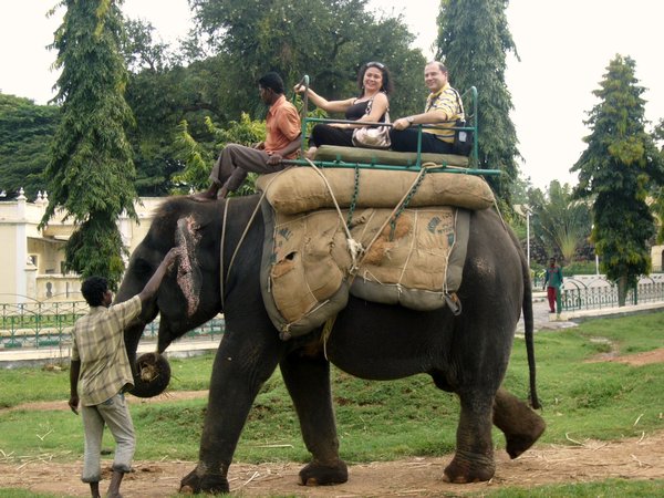 Mysore..riding elephants