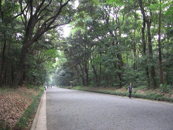 Yoyogi Park path