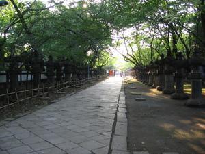 Lantern path