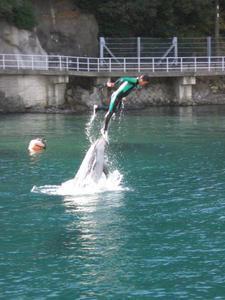 Dolphin Trick