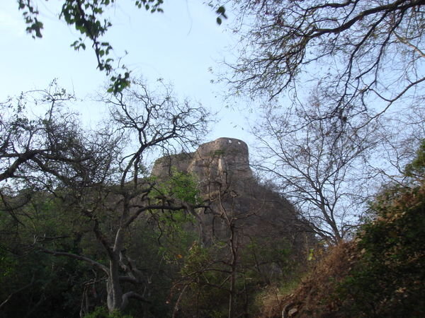The Fort above the Park