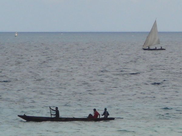Dhow boats in the morning