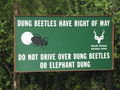 Dung beetle sign