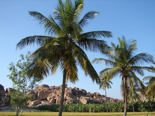 A general view in Hampi