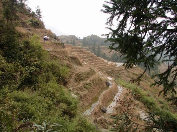 In the hike from Pingian village to Dazhai village