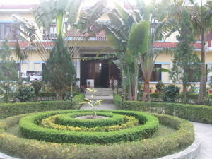 Jungle Safari Resort (our hotel)