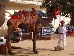 Man with Camel