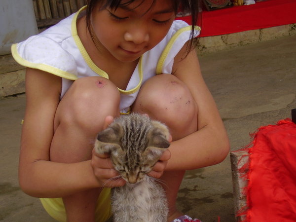 Hmong Girl with Kitten