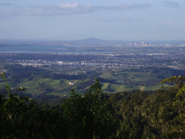 Auckland from the West