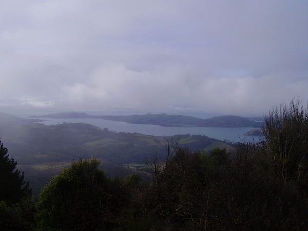 Otago Peninsula in the cloud 