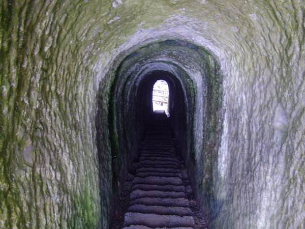 Tunnel to the Beach