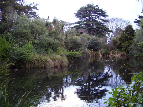Botanical Gardens, Christchurch 