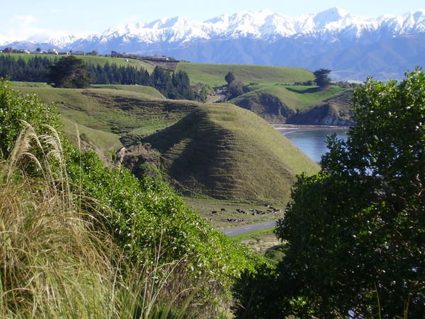 Maori Pa Site