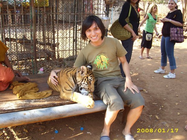 Tiger cub!