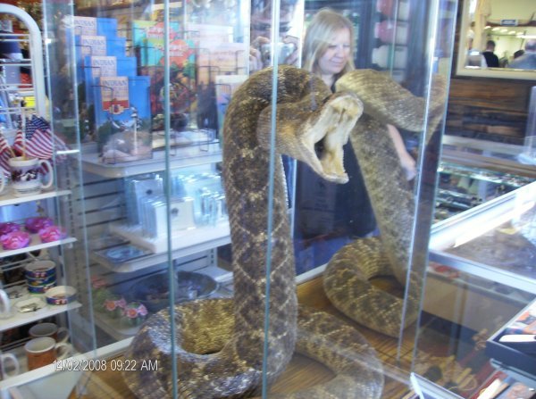 Giant stuffed rattlesnake