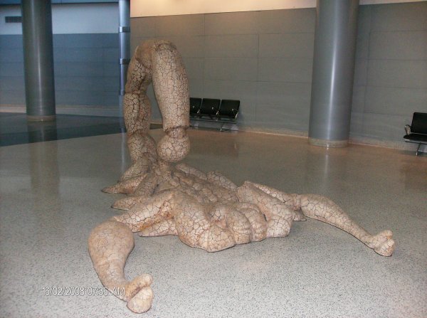 Scorpion at Las Vegas Airport