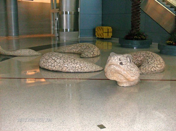 Rattle snake at Las Vegas Airport