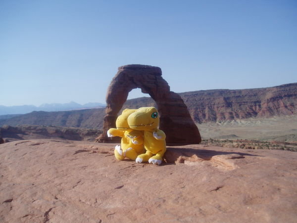 dinos in Arches