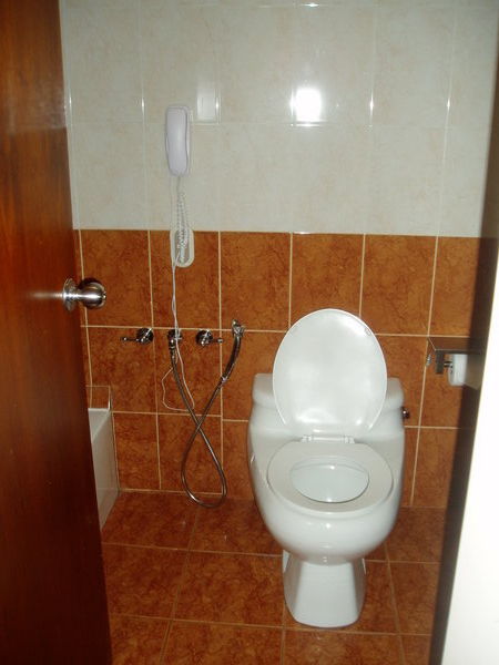 Even the loo has a phone