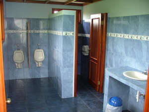 Immaculate toilets