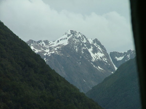 scenery from the Tranz Alpine train