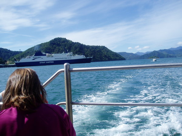 coming back into Picton Harbour