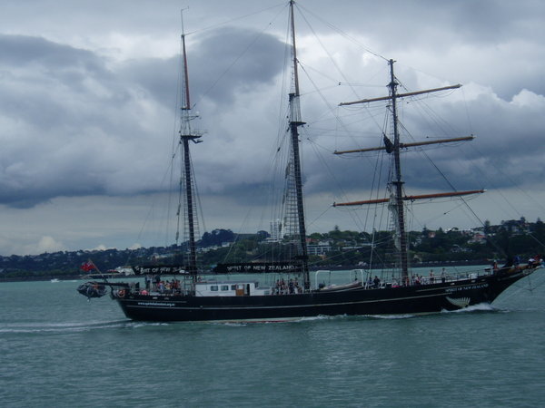 Auckland yacht trip