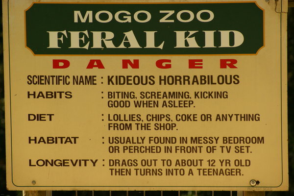 Sign in Zoo.