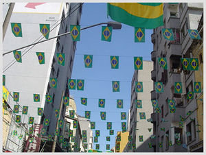 Bandiere Brasiliane