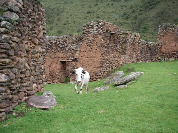 Lares Day 3 - Incan Ruins