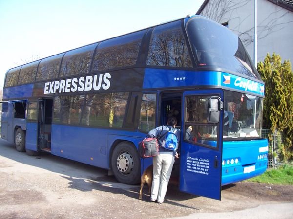 Tour Bus 