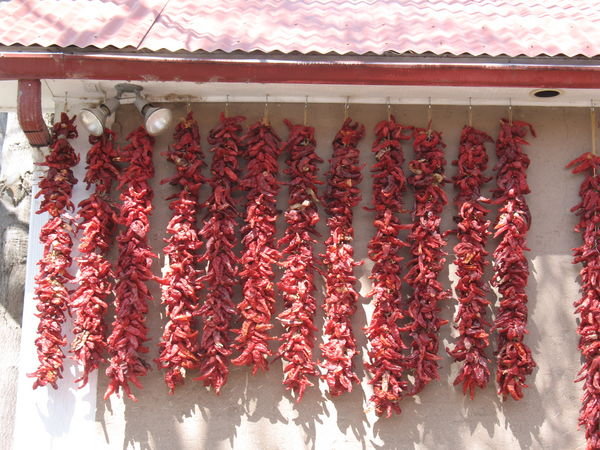 Red chiles at Rancho de Chimayo