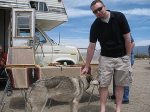 Mike and the wolf at Rio Grande Bridge