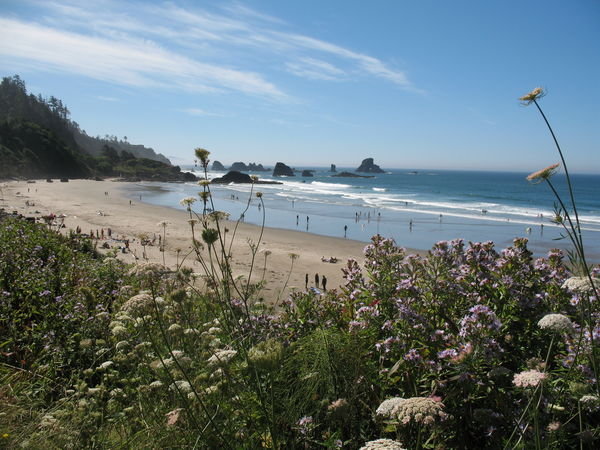 The beautiful Ecola State Park
