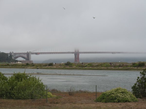 Golden Gate bridge covered in fog