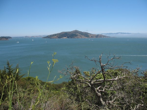 Views of the water from sunny Sausalito