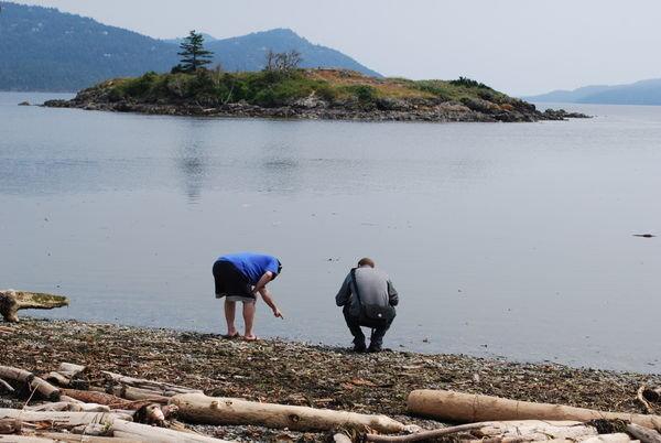 Joe and Mike exploring the tide pools in Eastsound