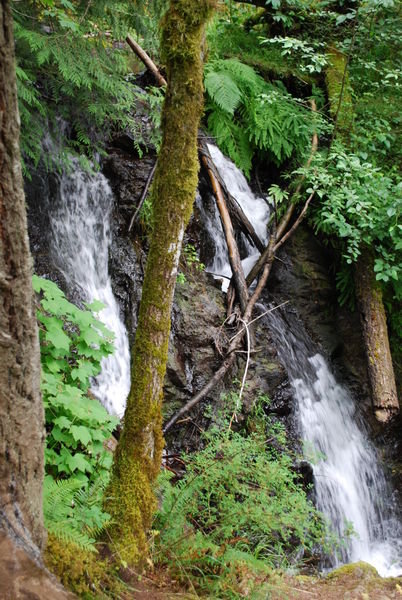 Cascade Falls at Moran State Park